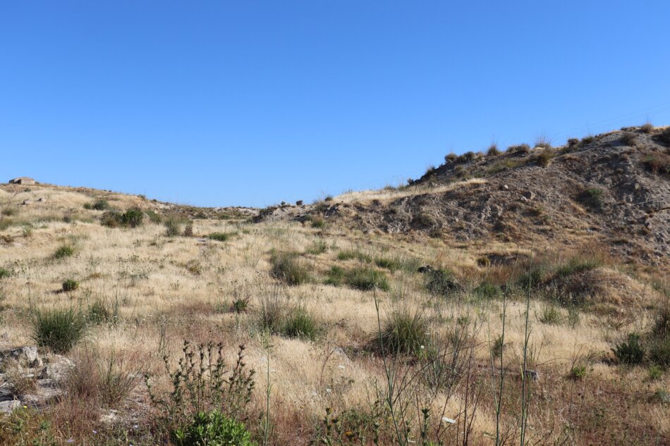 Dry grassland with rolling hills and a clear blue sky.