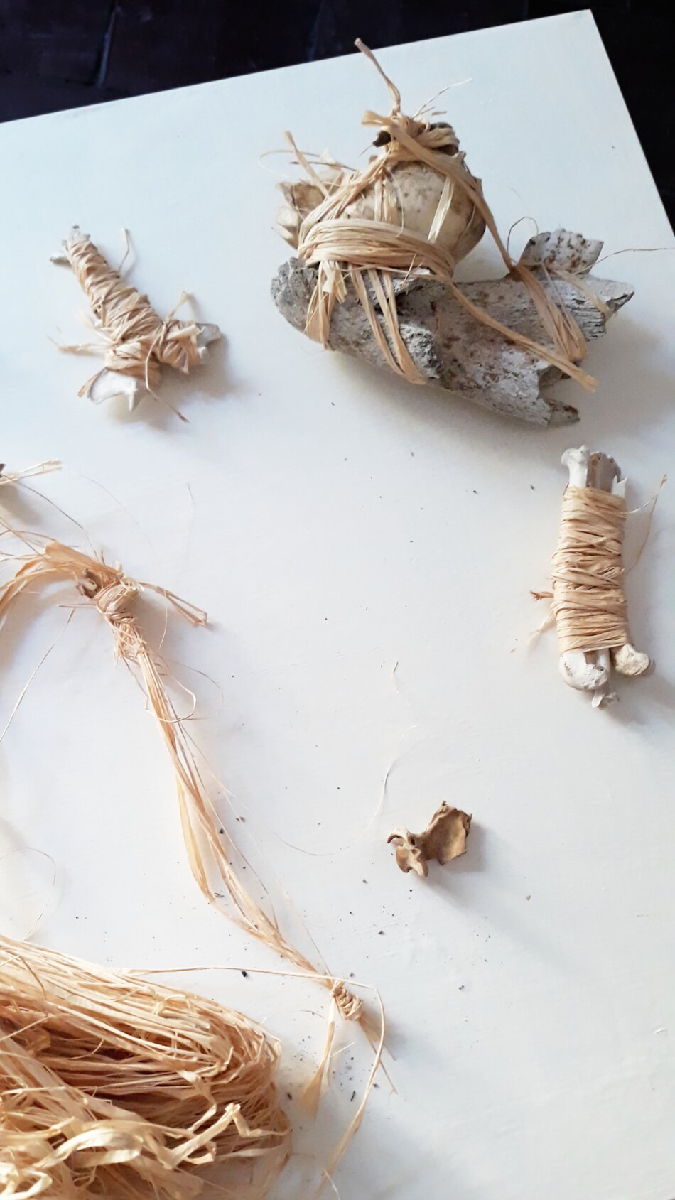 A white surface with various natural materials: bones wrapped in twine, dried grasses, and a pile of twine.