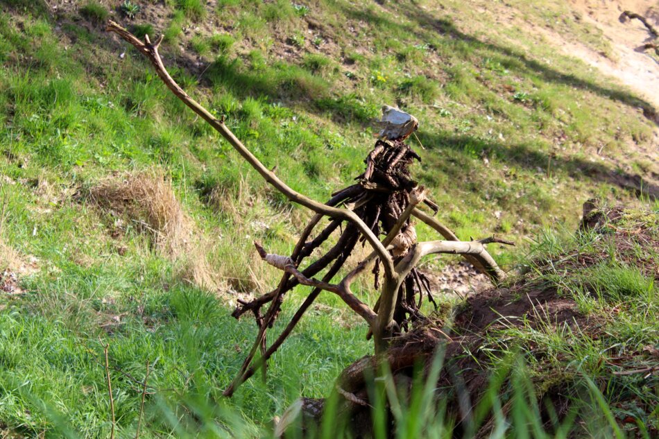A structured arrangement of sticks and branches on a grassy field.