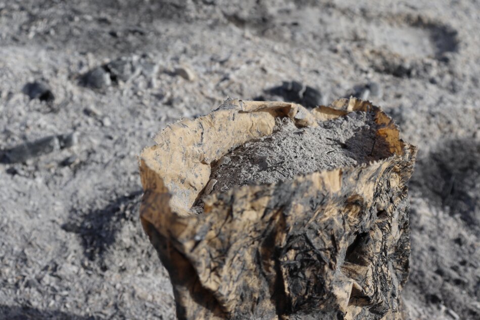 A charred paper bag filled with ashes, standing on fire-damaged ground.