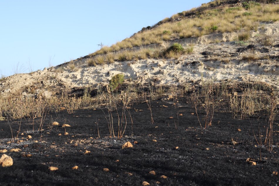 A hillside with a stark contrast between a recently burned area covered in black ash and the untouched green vegetation above.