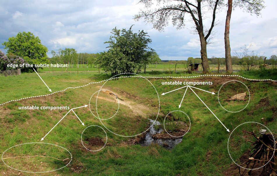 Diagram illustrating the edge of a subtle habitat with unstable components, including a small pond, eroded soil, and scattered debris.