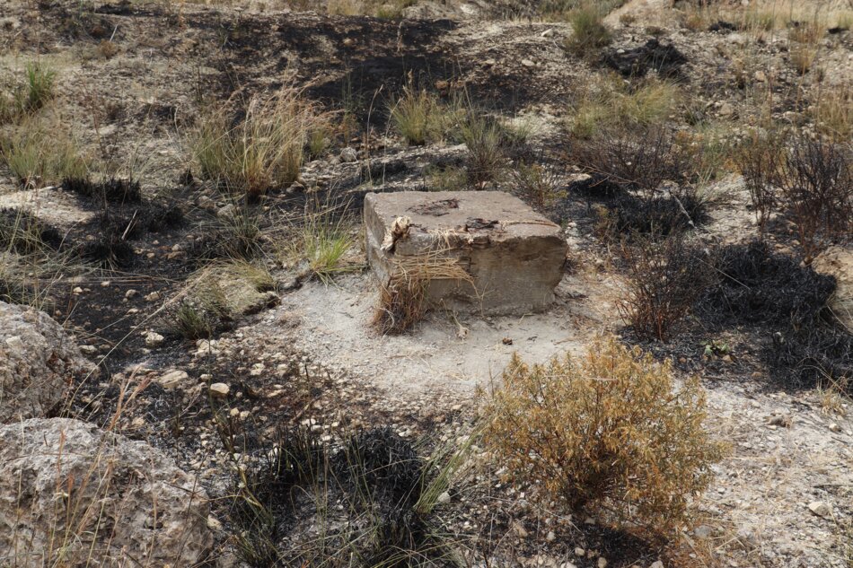 A concrete base stands exposed on a slope, evidence of a recent fire visible in the blackened soil and charred plants.