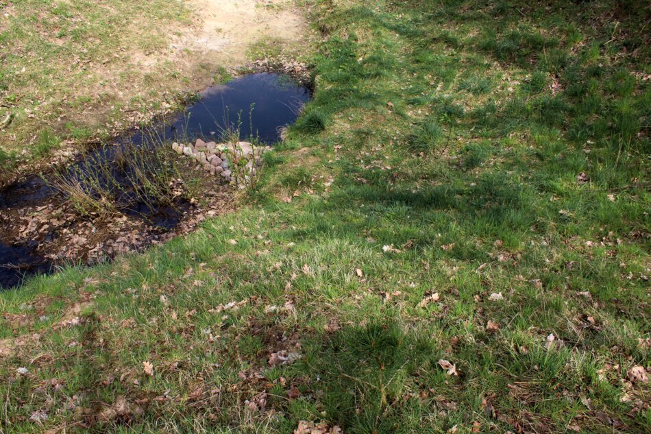 Natural rock dam creating a small pool in a creek surrounded by greenery.