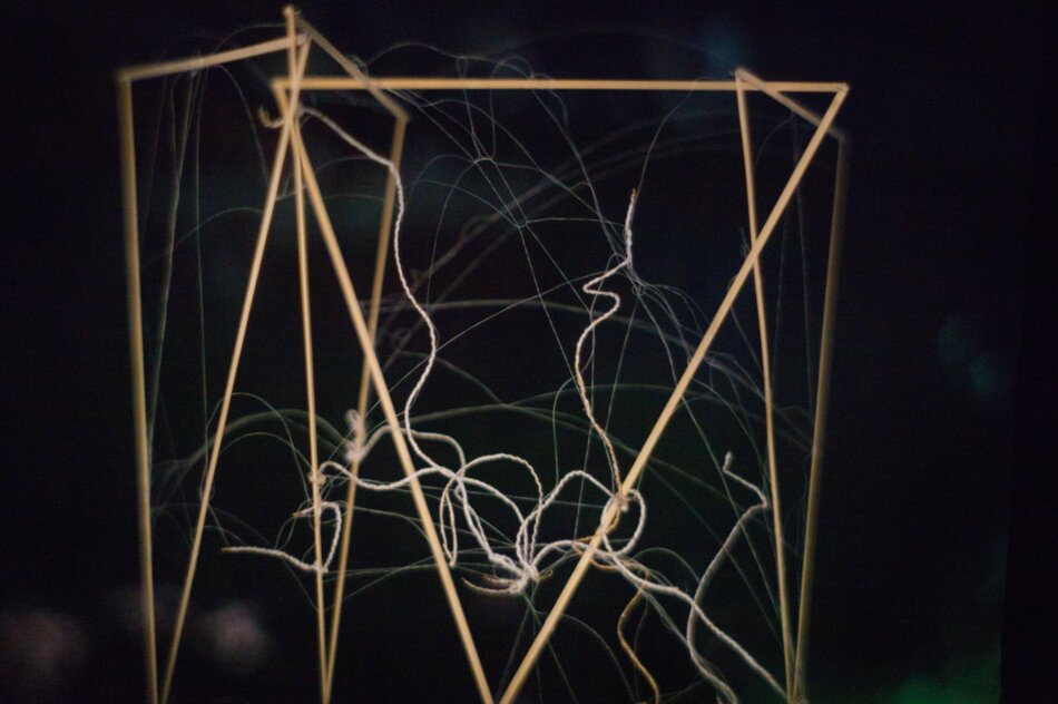 Close-up of a projected object inside a human-scale camera obscura, composed of four linden wood strip triangles, seaweed threads, and polypropylene fibers.
