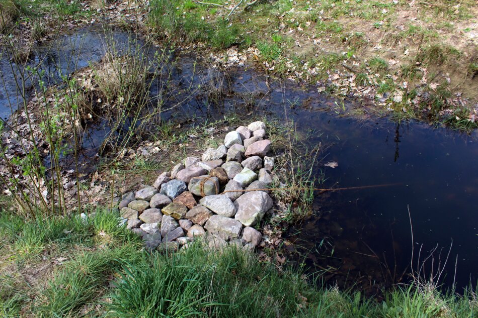 A small creek with a rock dam and surrounding vegetation.