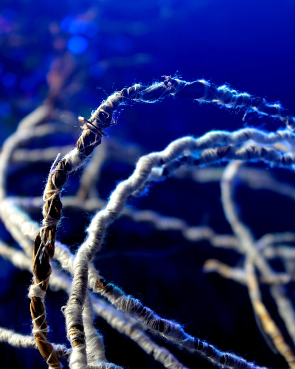 Close-up macro photograph of an hybrid fibre