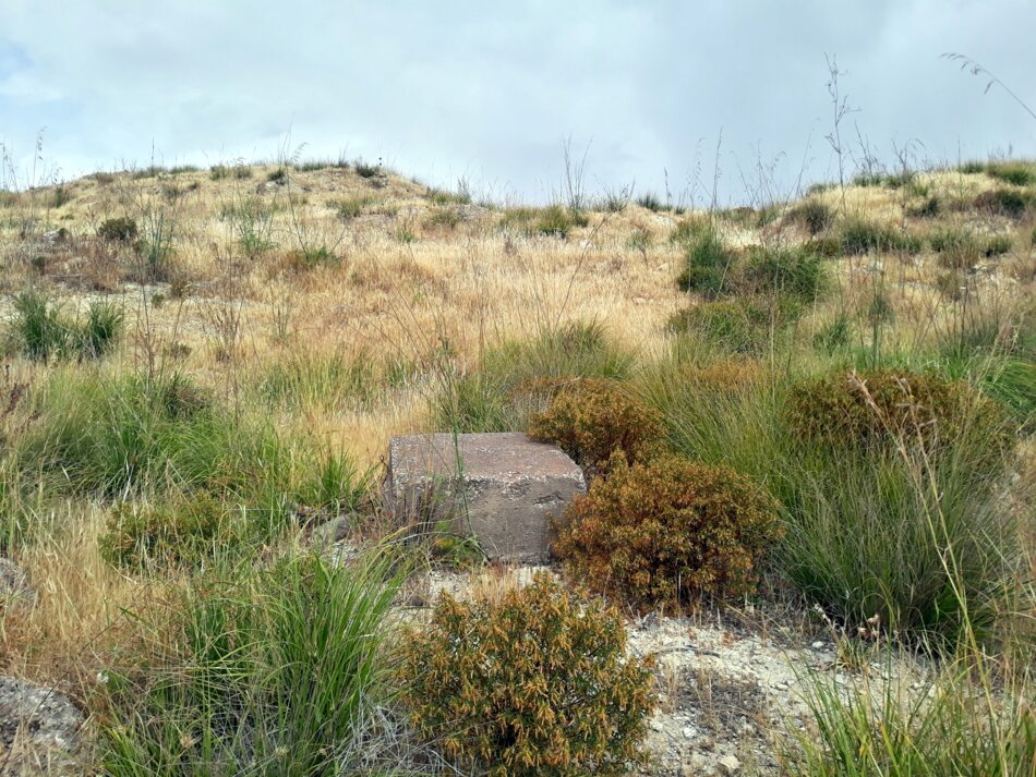 A concrete block rests on a grassy hillside with scattered shrubs and wildflowers.