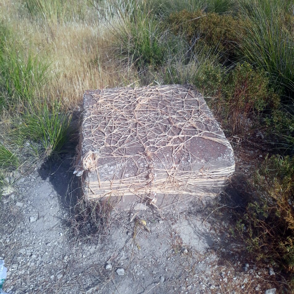 A concrete block wrapped in wire mesh and surrounded by vegetation.